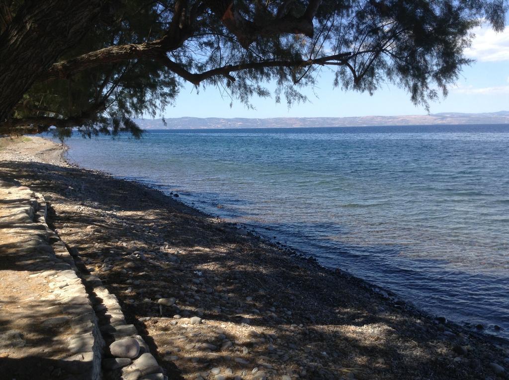 Rooms To Let To Kyma Skala Sikamineas Skala Sykamineas 客房 照片