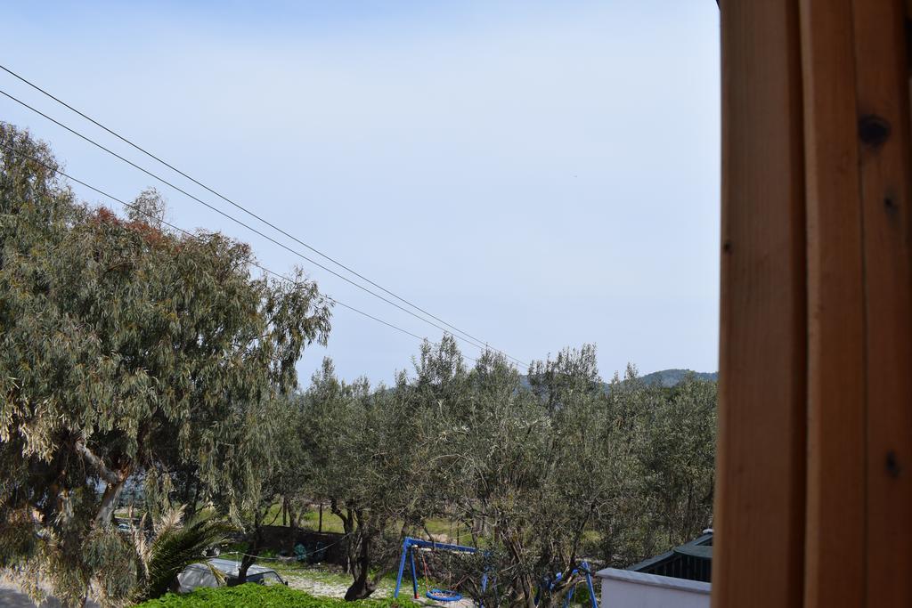 Rooms To Let To Kyma Skala Sikamineas Skala Sykamineas 外观 照片